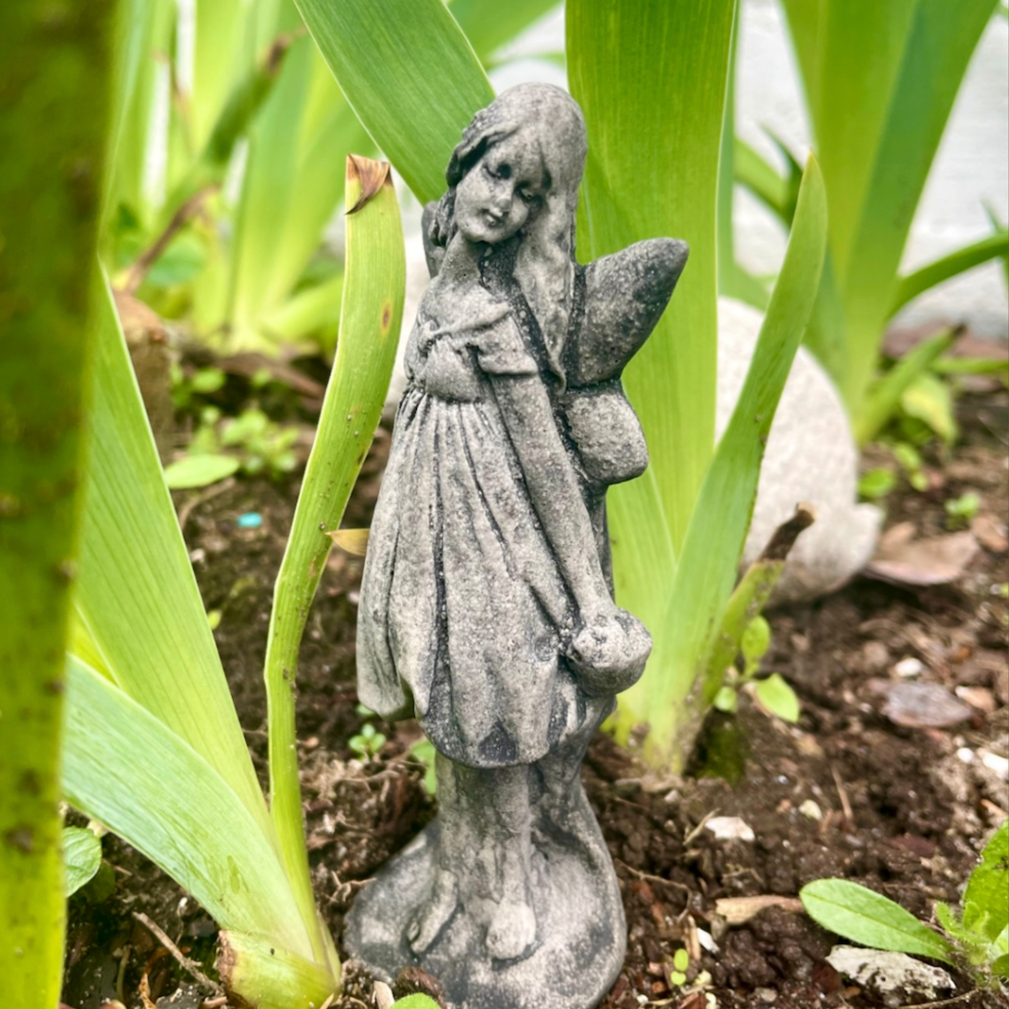 Fairy Gardens