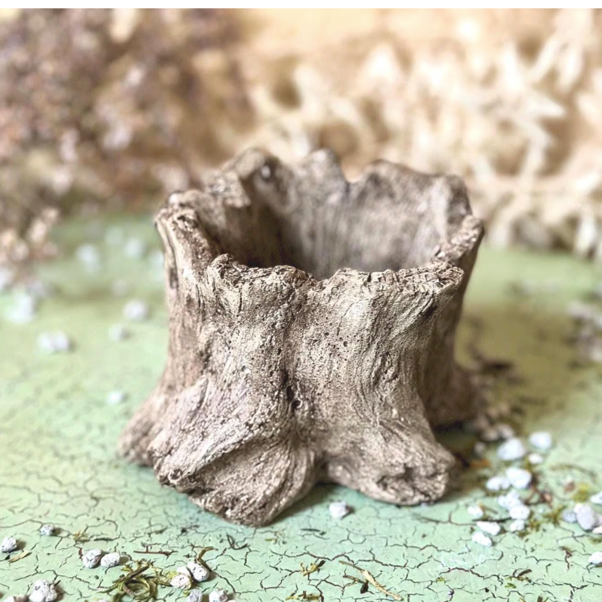 Tree Stump Planters | Set of Two Concrete Wood Grain Succulent Planters