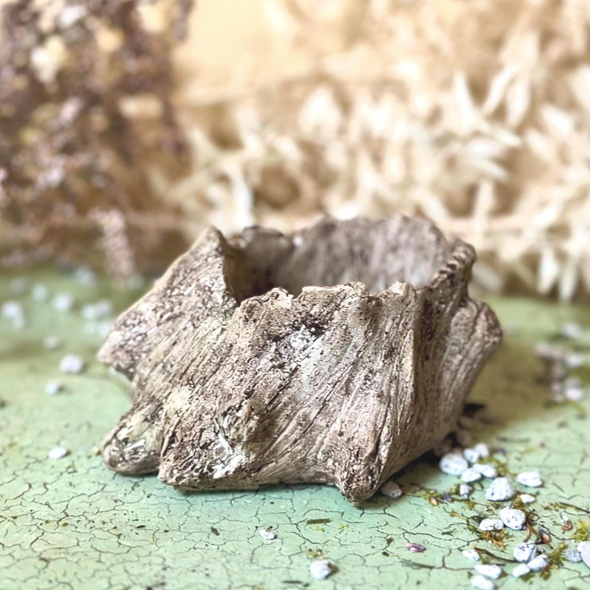 Tree Stump Planters | Set of Two Concrete Wood Grain Succulent Planters
