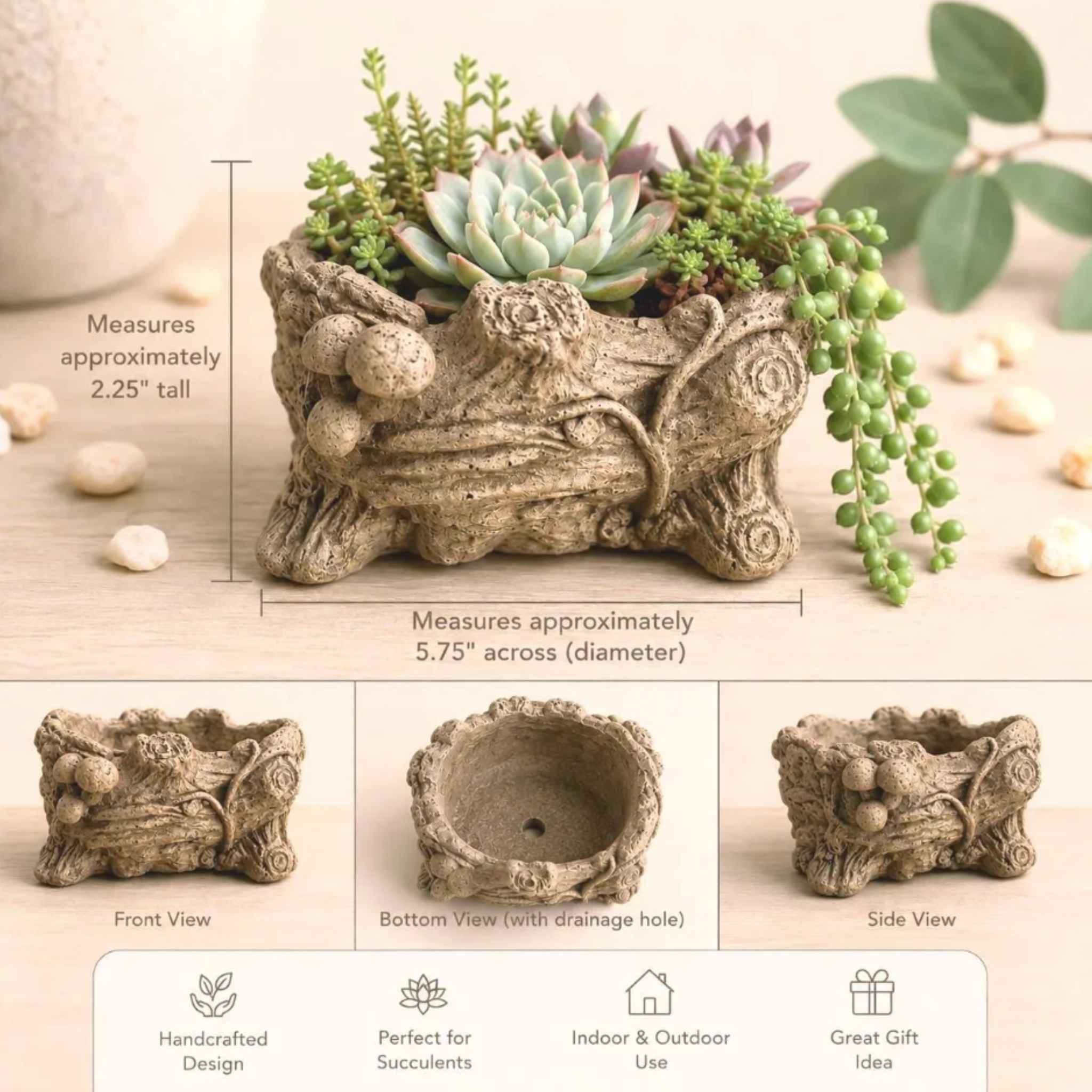 Tree Stump Mushroom Planter | Succulent Planter 4 Inch Pot