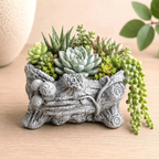 Tree Stump Mushroom Planter | Succulent Planter 4 Inch Pot