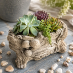 Tree Stump Mushroom Planter | Succulent Planter 4 Inch Pot