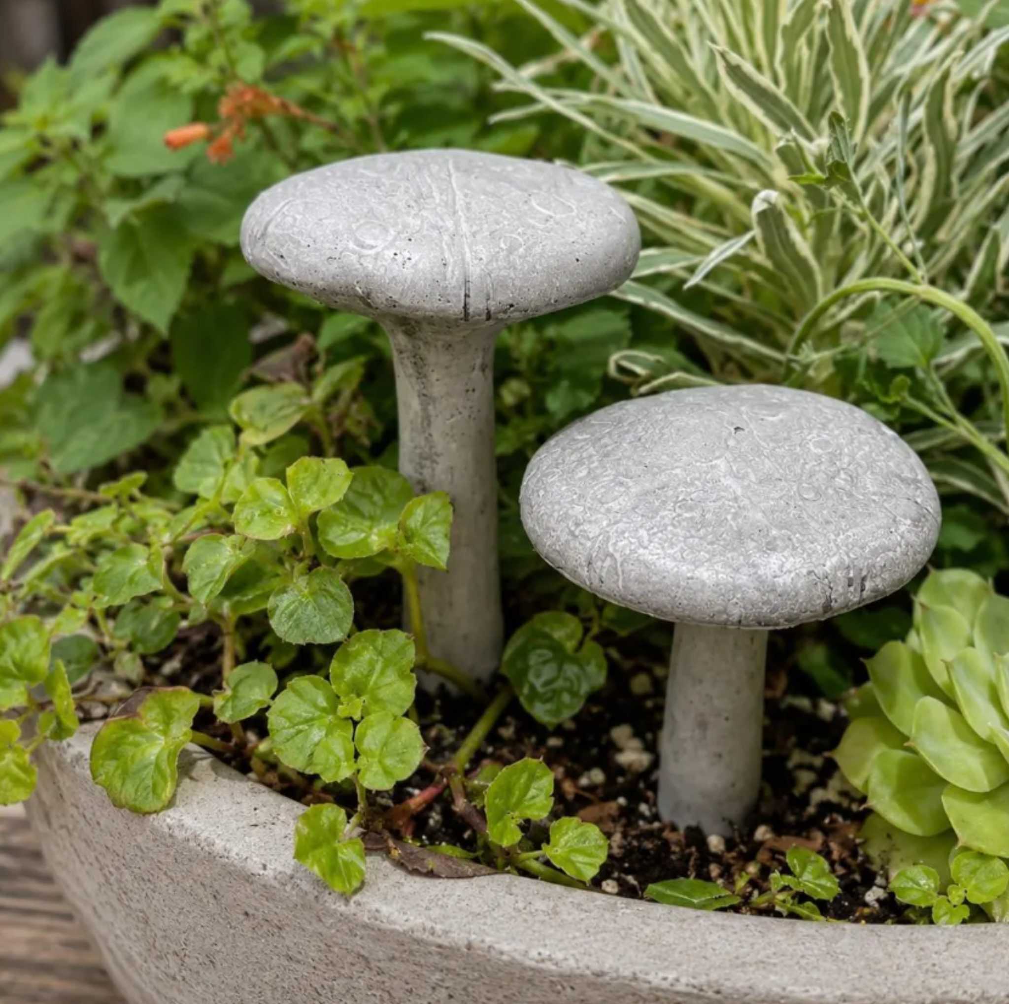 Mushroom Statue Set | Mushroom Plant Stakes Concrete Statues