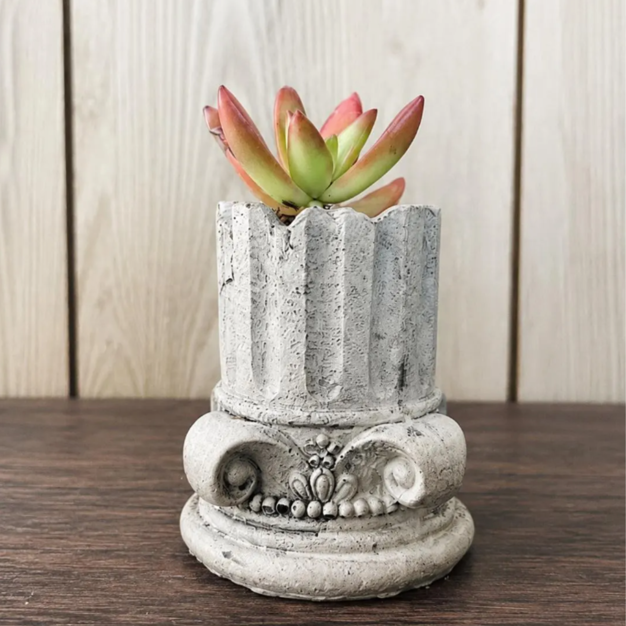 Vintage Column Pillar Succulent Planter | 2 Inch Small Pot