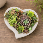 Concrete Heart-Shaped Succulent Planter | Shallow Planter