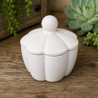 Scalloped Edge Concrete Jar | Trinket Box | Jewelry Box | Modern