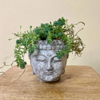 Buddha Head Planter | Succulent Planter 2.75 Inch Pot