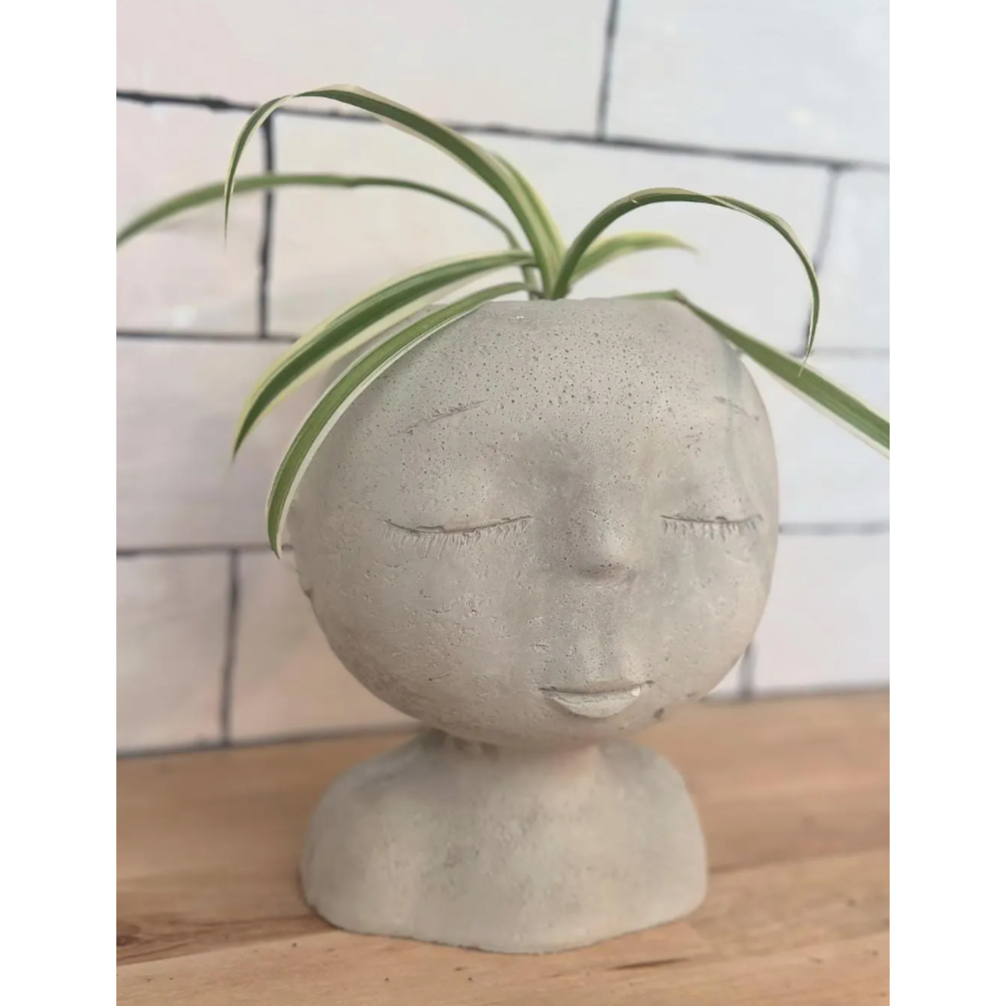 Modern Lady Head Planter | Boho Succulent Planter 2.75 Inch Pot