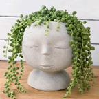 Modern Lady Head Planter | Boho Succulent Planter 2.75 Inch Pot