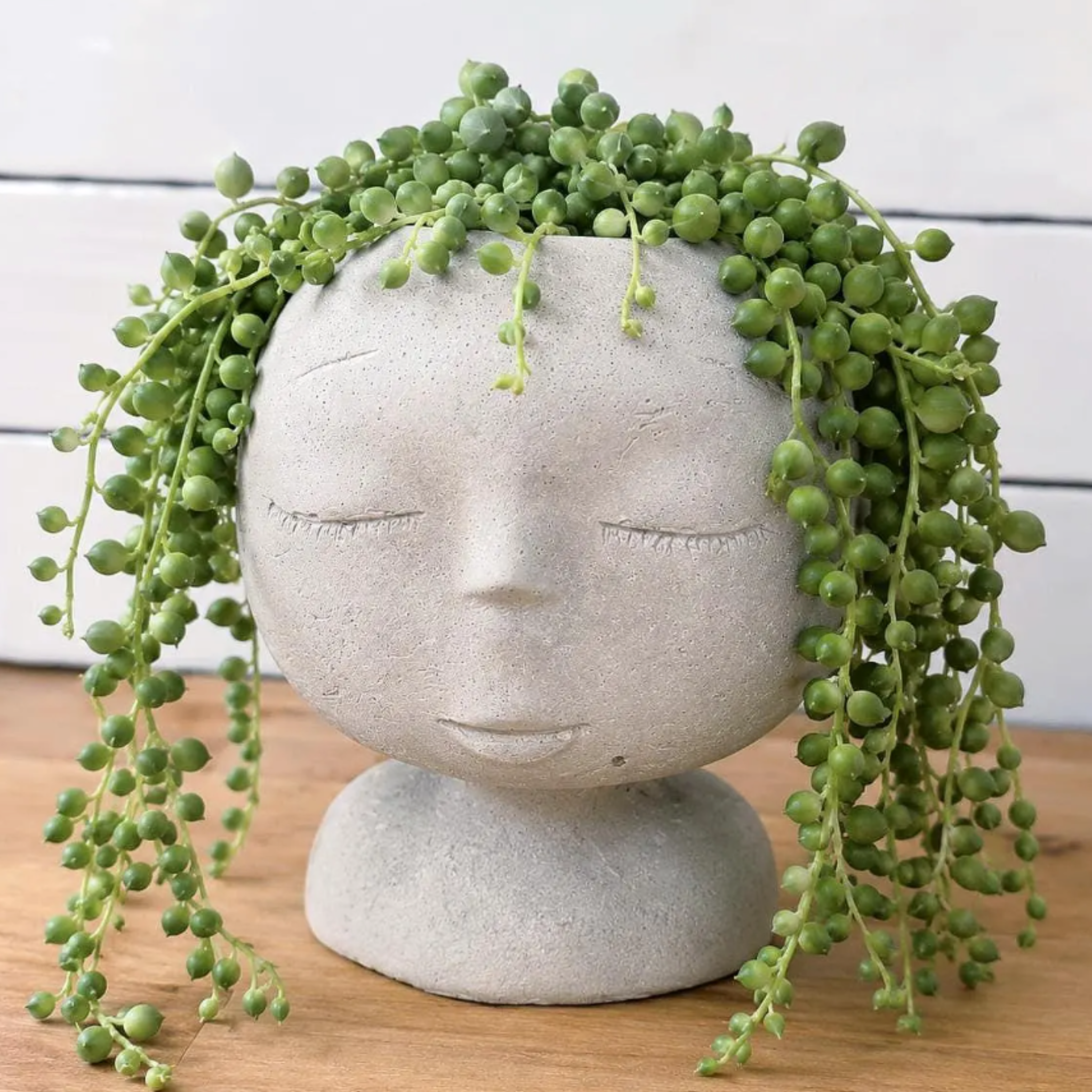 Modern Lady Head Planter | Boho Succulent Planter 2.75 Inch Pot