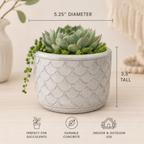 Embossed Concrete Planters 4-5 Inch Planters | Scalloped or Floral Embossing