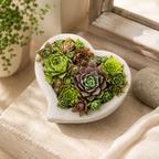 Concrete Heart-Shaped Succulent Planter | Shallow Planter