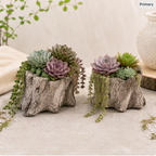 Tree Stump Planters | Set of Two Concrete Wood Grain Succulent Planters
