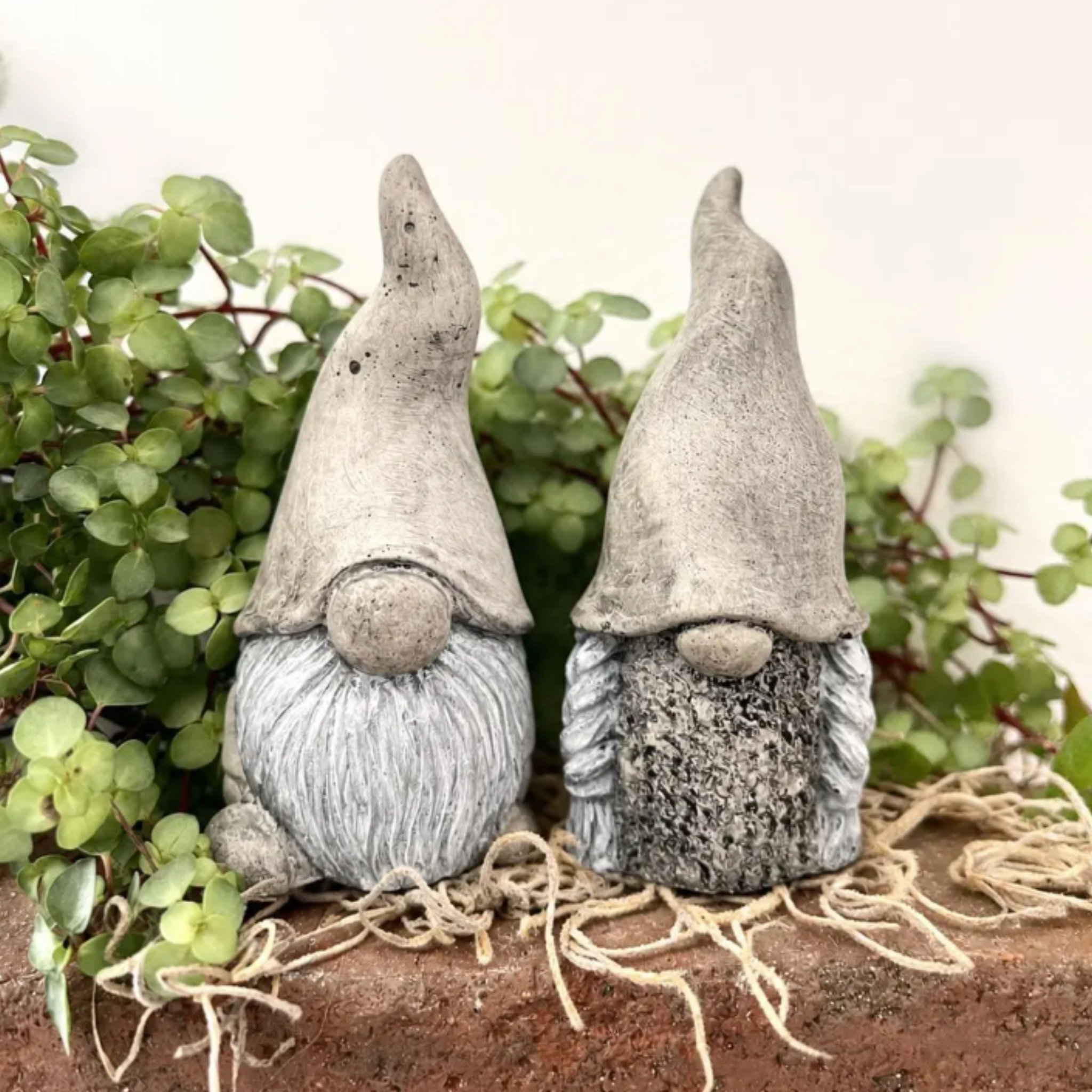 Gnome Couple Statues Grey with White Beards
