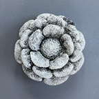 Concrete Wall Flowers | Faux Flowers Hanging