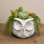 Modern Owl Planter for Succulents, Small Planters, & Herbs