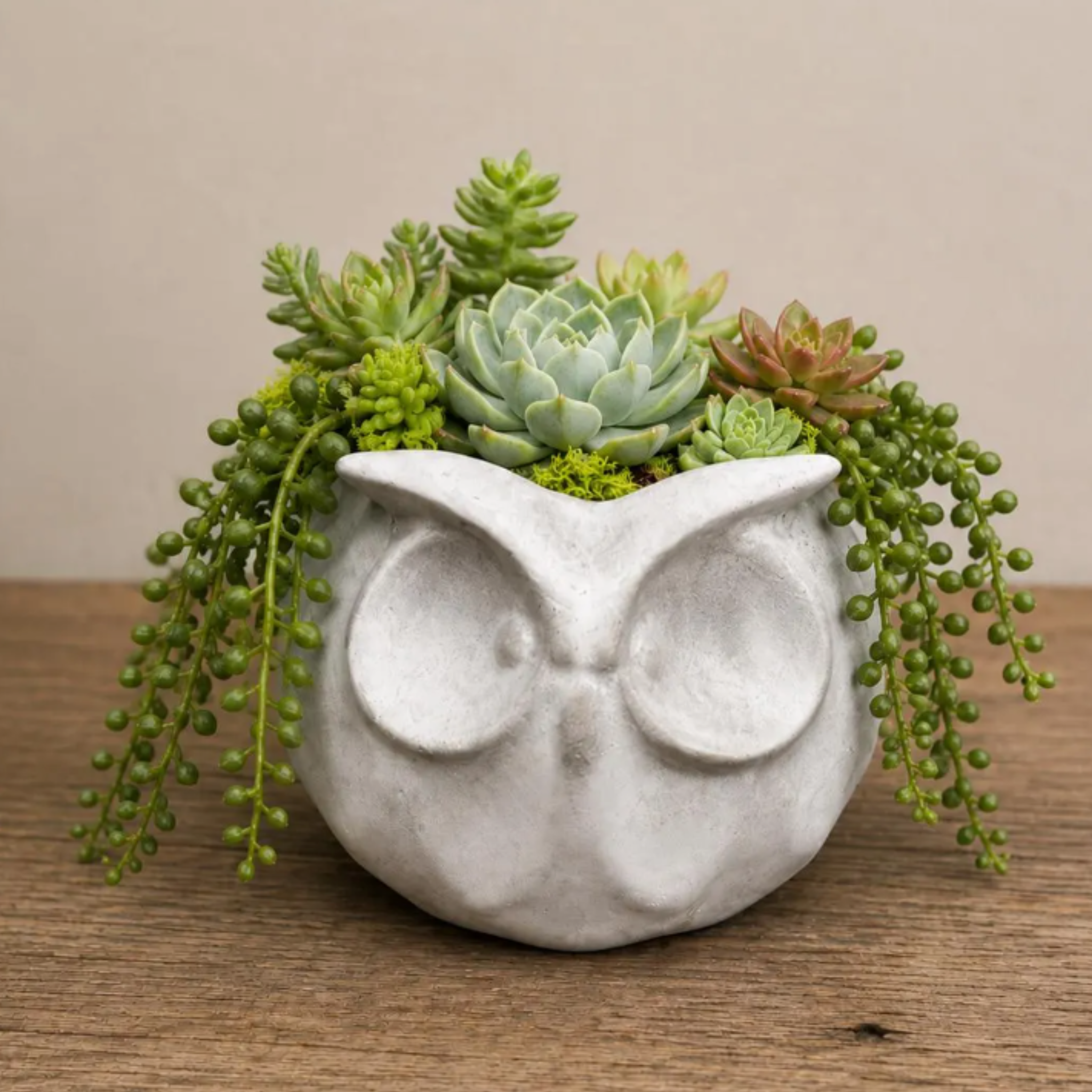 Modern Owl Planter for Succulents, Small Planters, & Herbs
