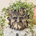 Woodland Greenman Tree Planter 4 Inch Pot