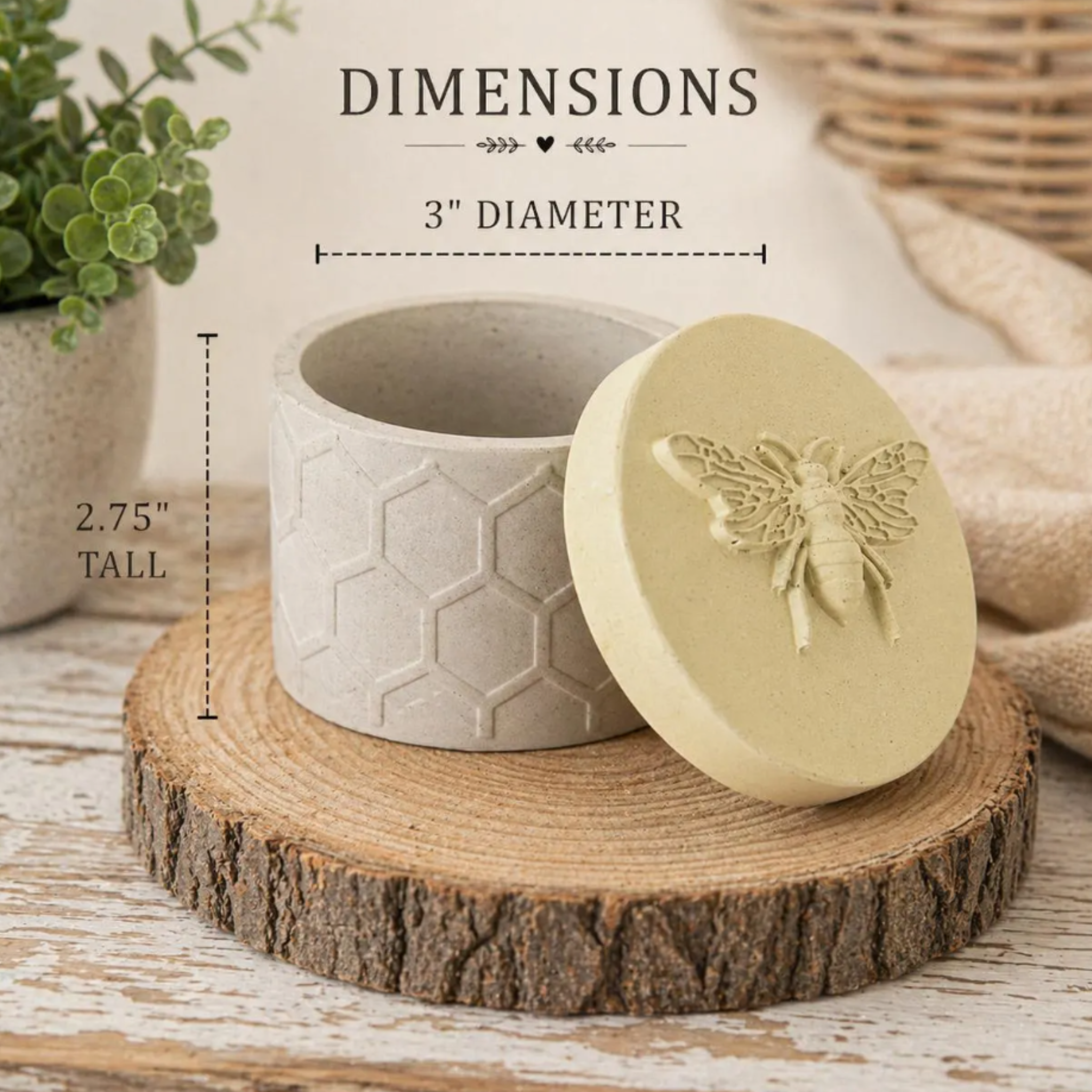 Honeycomb Bee Jar Concrete