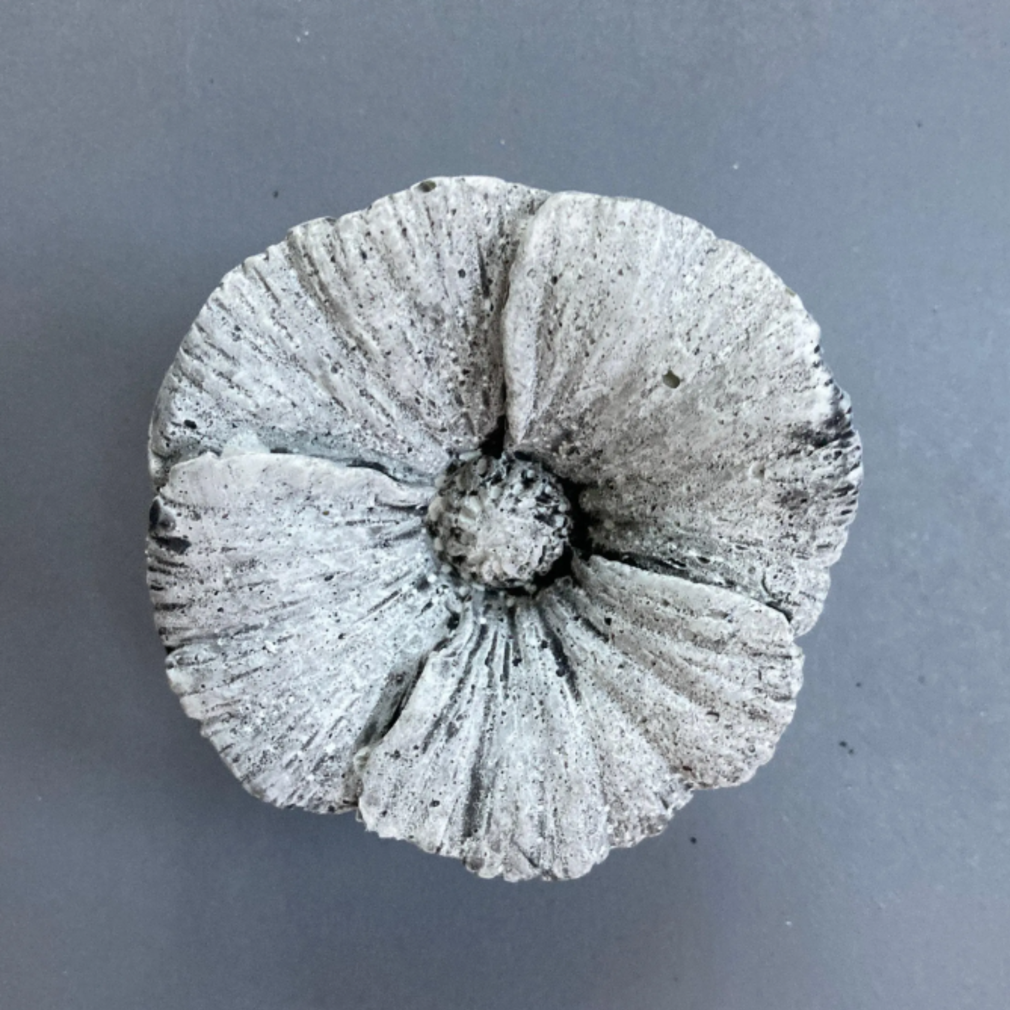 Concrete Wall Flowers | Faux Flowers Hanging