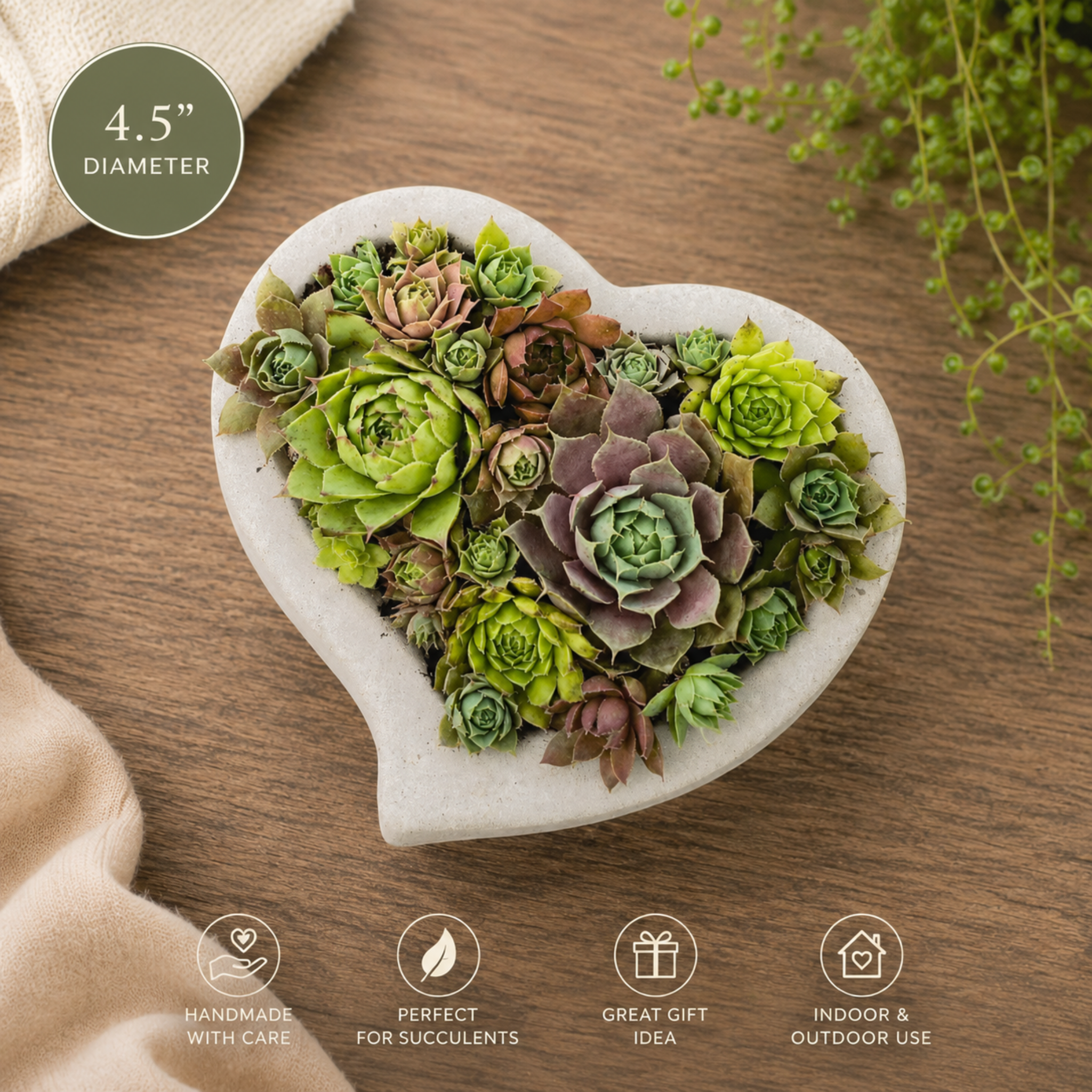 Concrete Heart-Shaped Succulent Planter | Shallow Planter