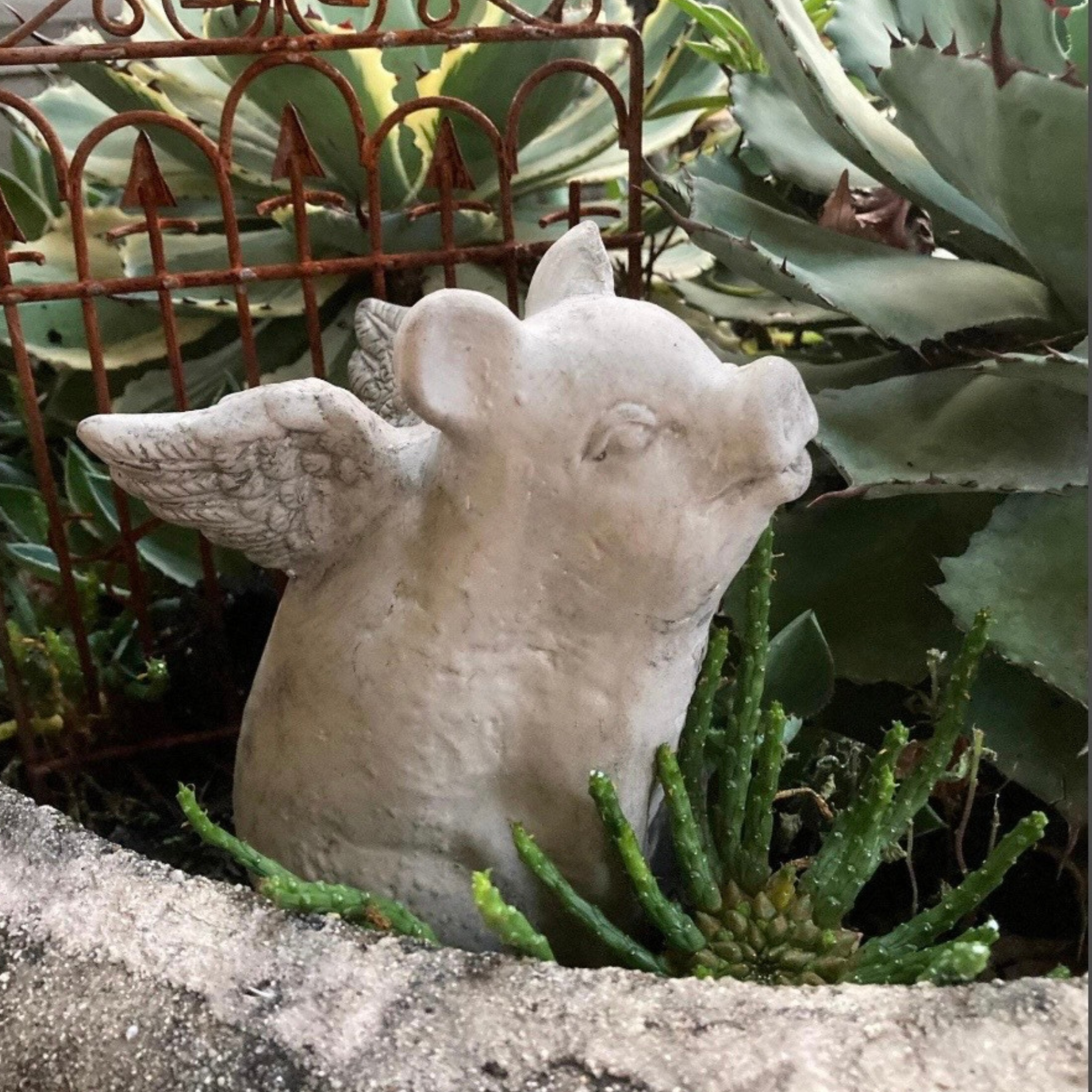 When Pigs Fly Concrete Pig Garden Statue
