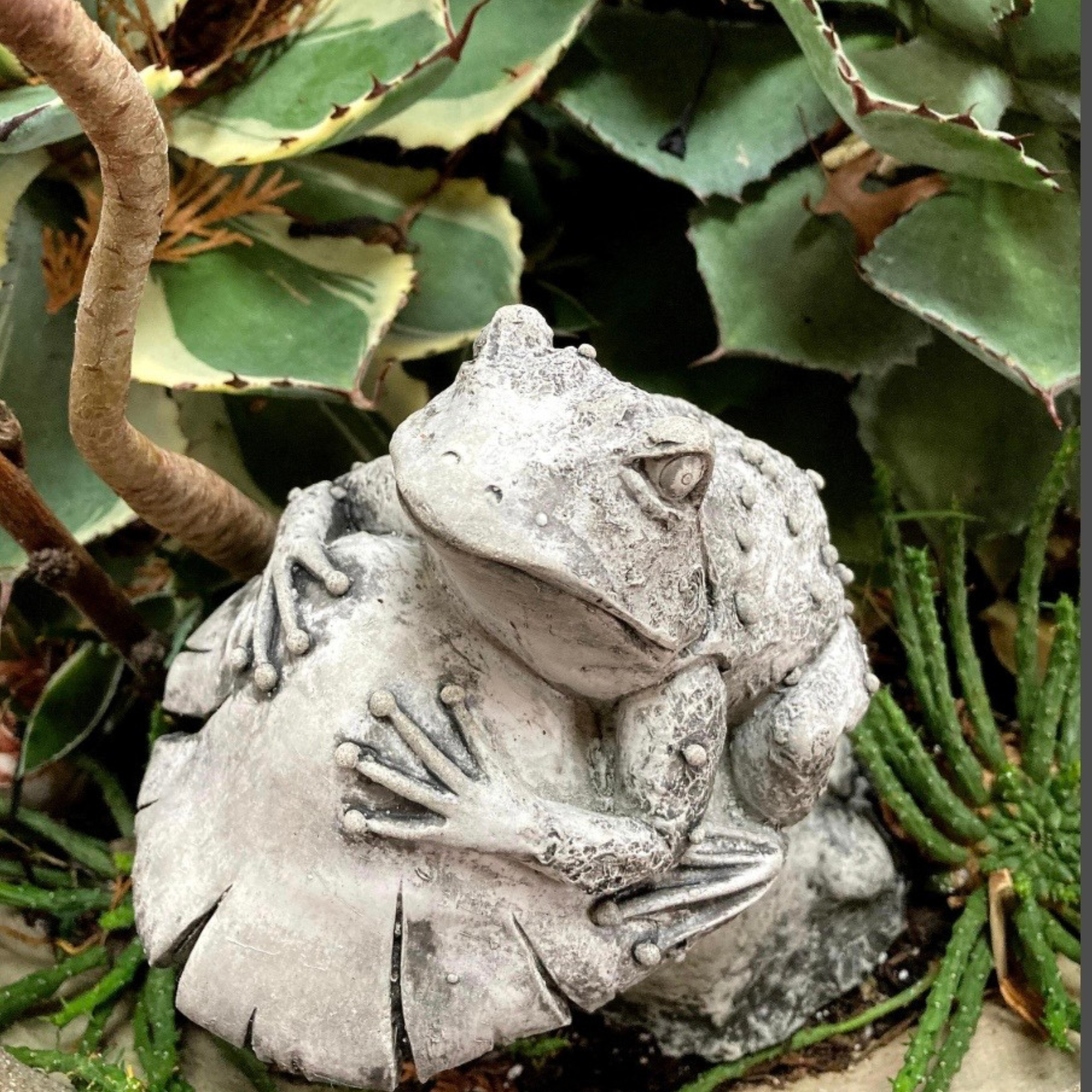 Frog Perched on Mushroom Statue Large Garden Sculpture
