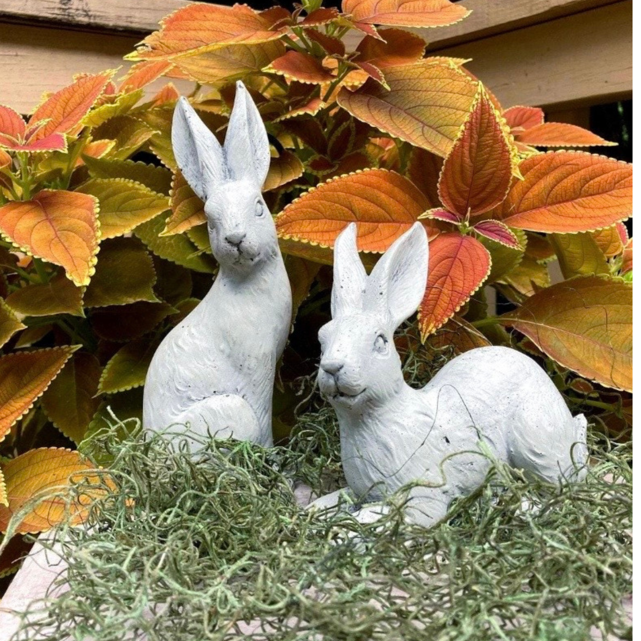 French Country Bunny Statues