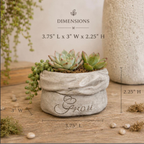 Grow Farmer’s Sack Succulent Planter Small Pot 4 Inch