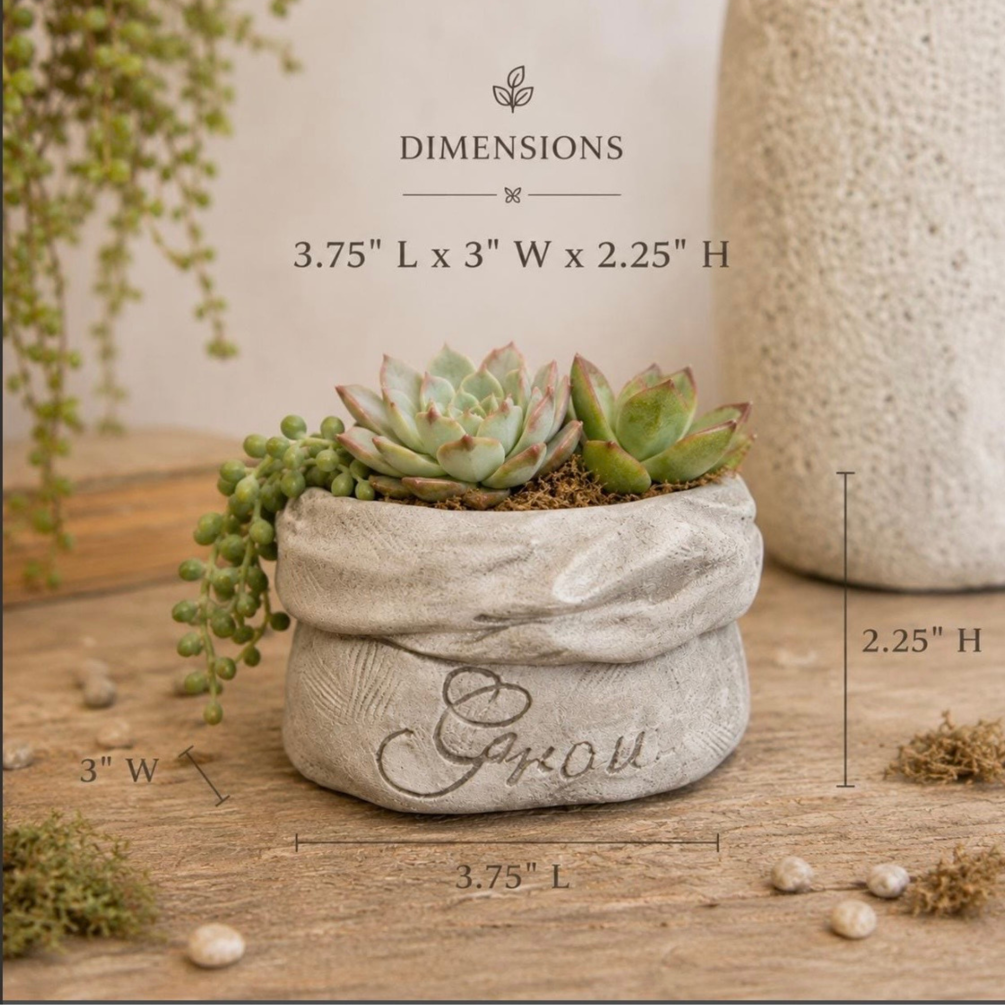 Grow Farmer’s Sack Succulent Planter Small Pot 4 Inch
