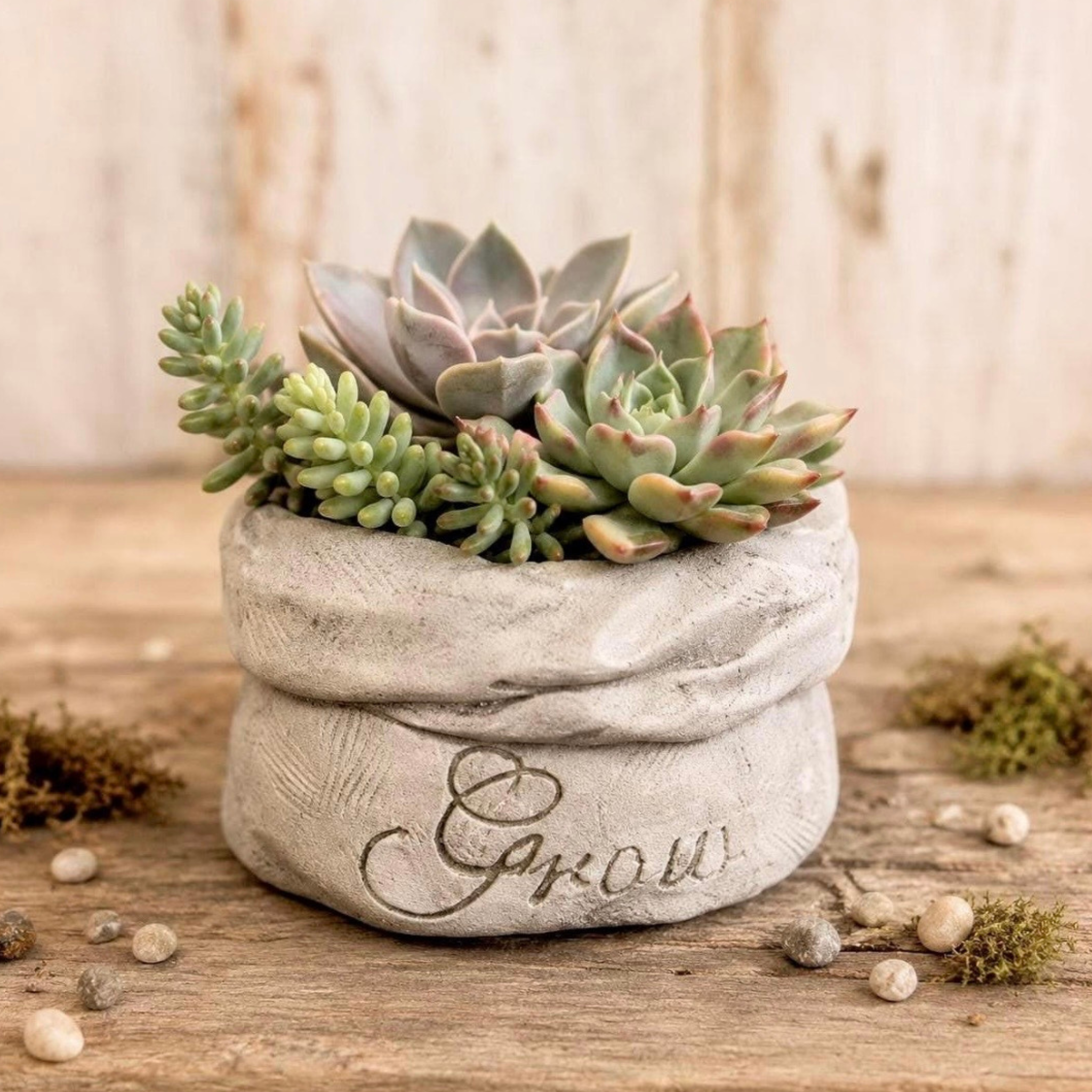Grow Farmer’s Sack Succulent Planter Small Pot 4 Inch
