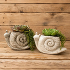 Concrete Snail Planter for Succulents & Small Plants
