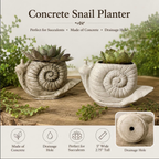 Concrete Snail Planter for Succulents & Small Plants