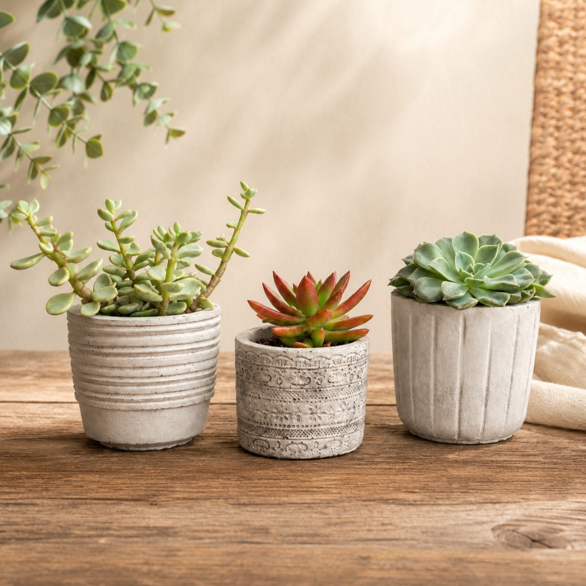 Planter Set | 3 Succulent Planters Striped Concrete
