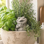 Happy Frog Statue Planter Decor