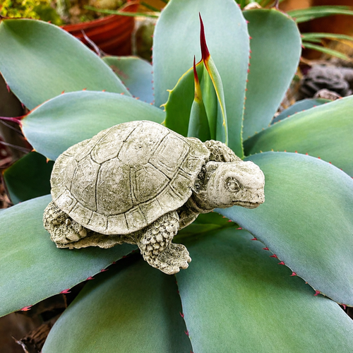 Baby Turtle Statue for Gardens, Planters, Aquariums, or Ponds
