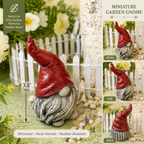 Miniature garden gnome with red hat and gray beard, shown from front, side, and back views, on a decorative background. 3.5 inches tall. 