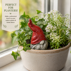 Gnome figurine in a pot with plants on a windowsill