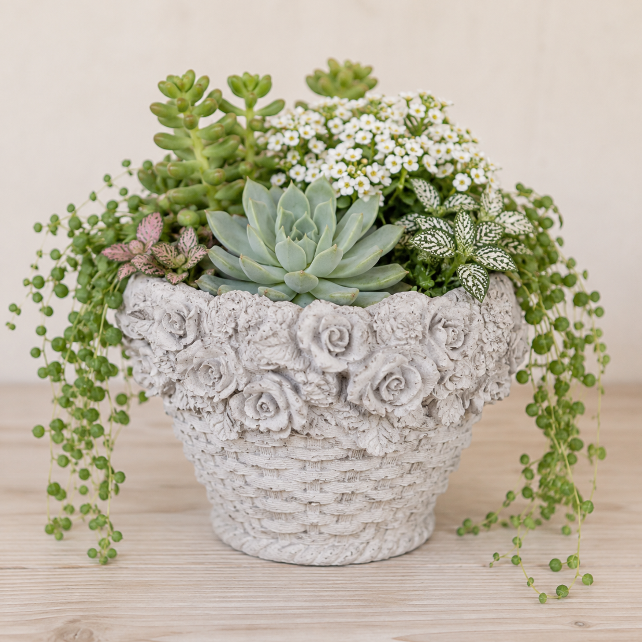 Basket-Weave Planter with 3D Roses | Concrete Planters | 5 Inch Pot