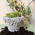 Basket-Weave Planter with 3D Roses | Concrete Planters | 5 Inch Pot