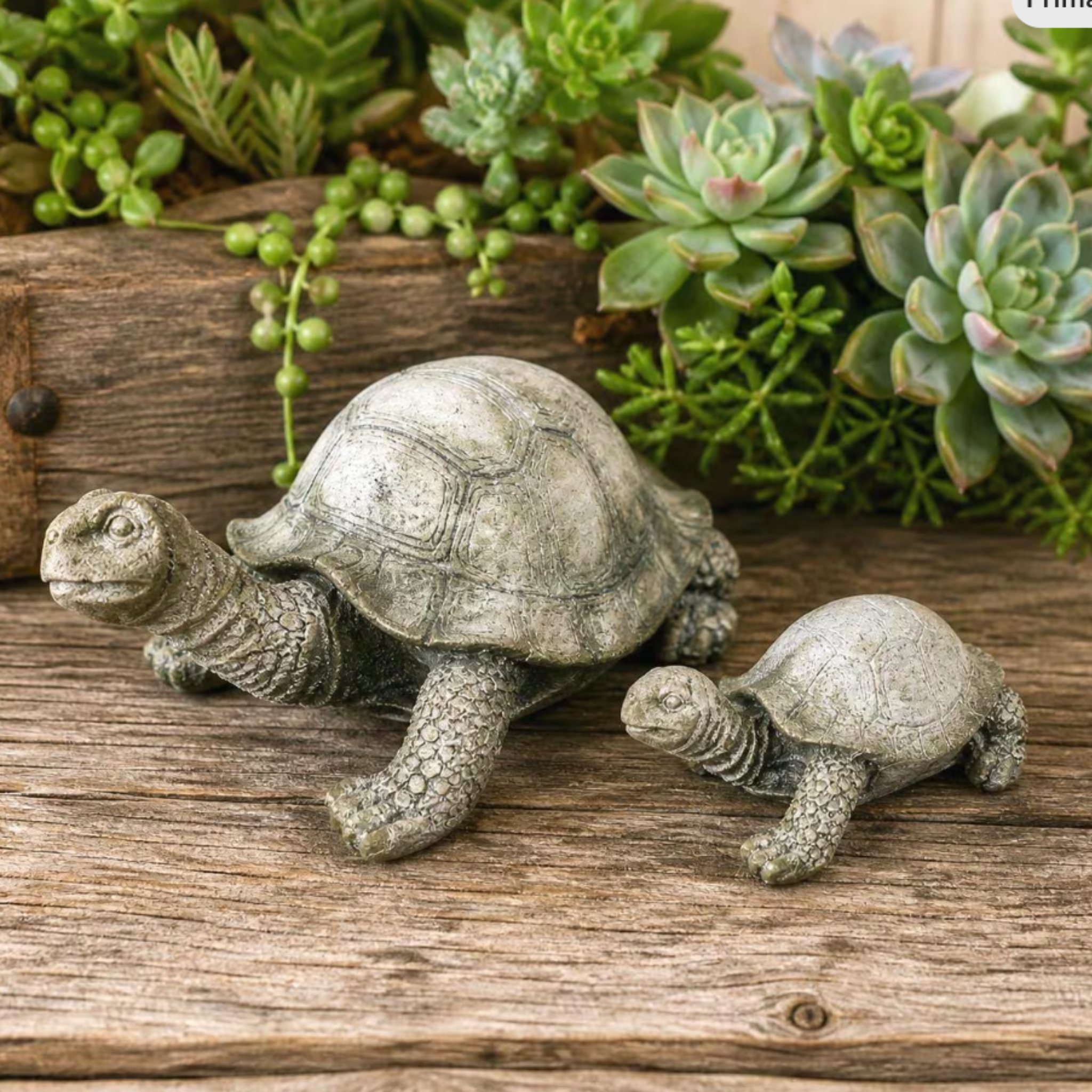 Turtle Family Set | Mama Turtle Baby Turtle