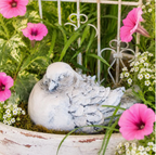 Whitewashed Outdoor Bird Dove Concrete Garden Statue perched inside a ceramic outdoor planter. The bird sculpture is surrounded by pink petunias and a wrought iron miniature fence is behind the statue. 